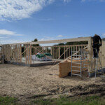 Væggene er færdige, og limtræsbjælker fikseres